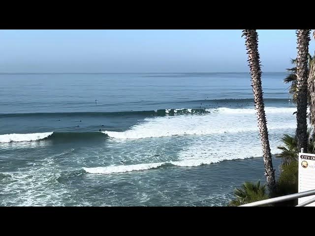 Scenes from Swamis Swell 2.7.26