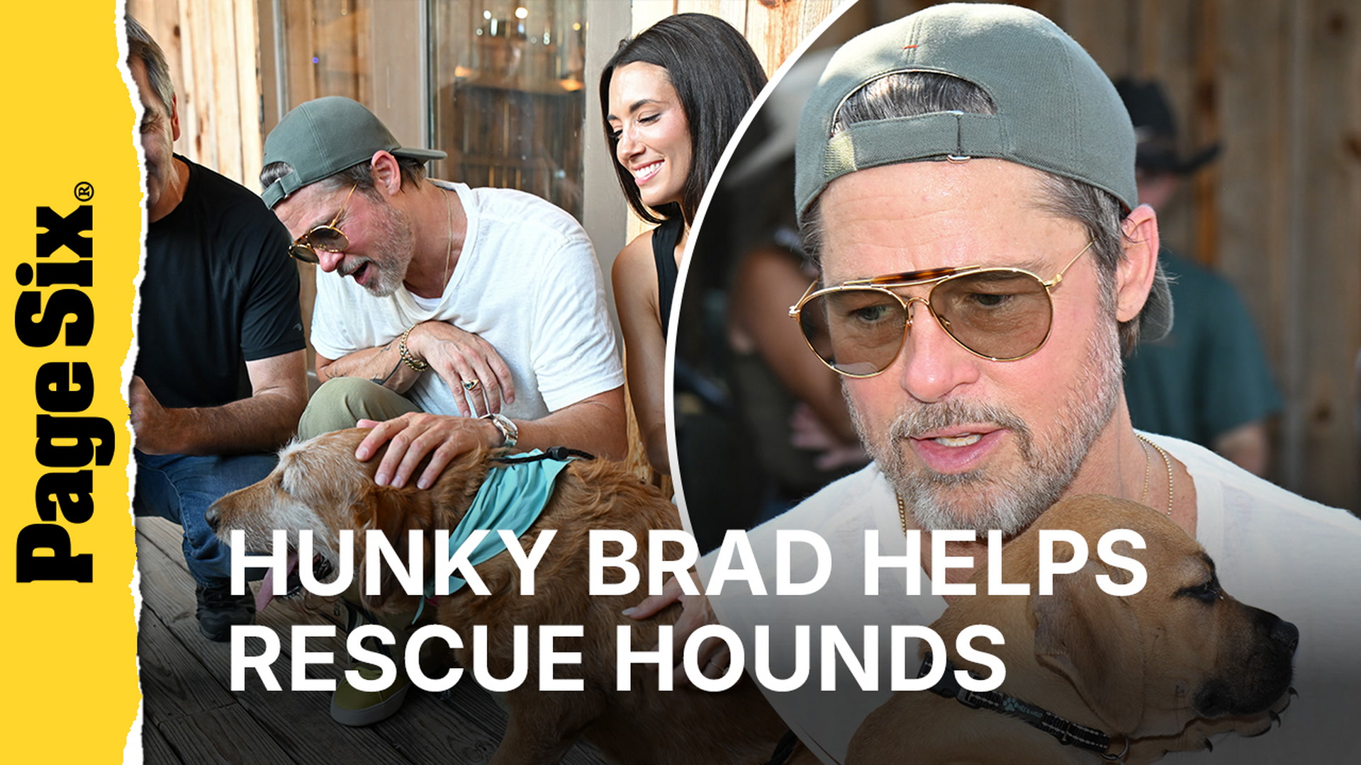 Video thumbnail for Brad Pitt holds adorable rescue puppy at 'Heart of the Beast' film event