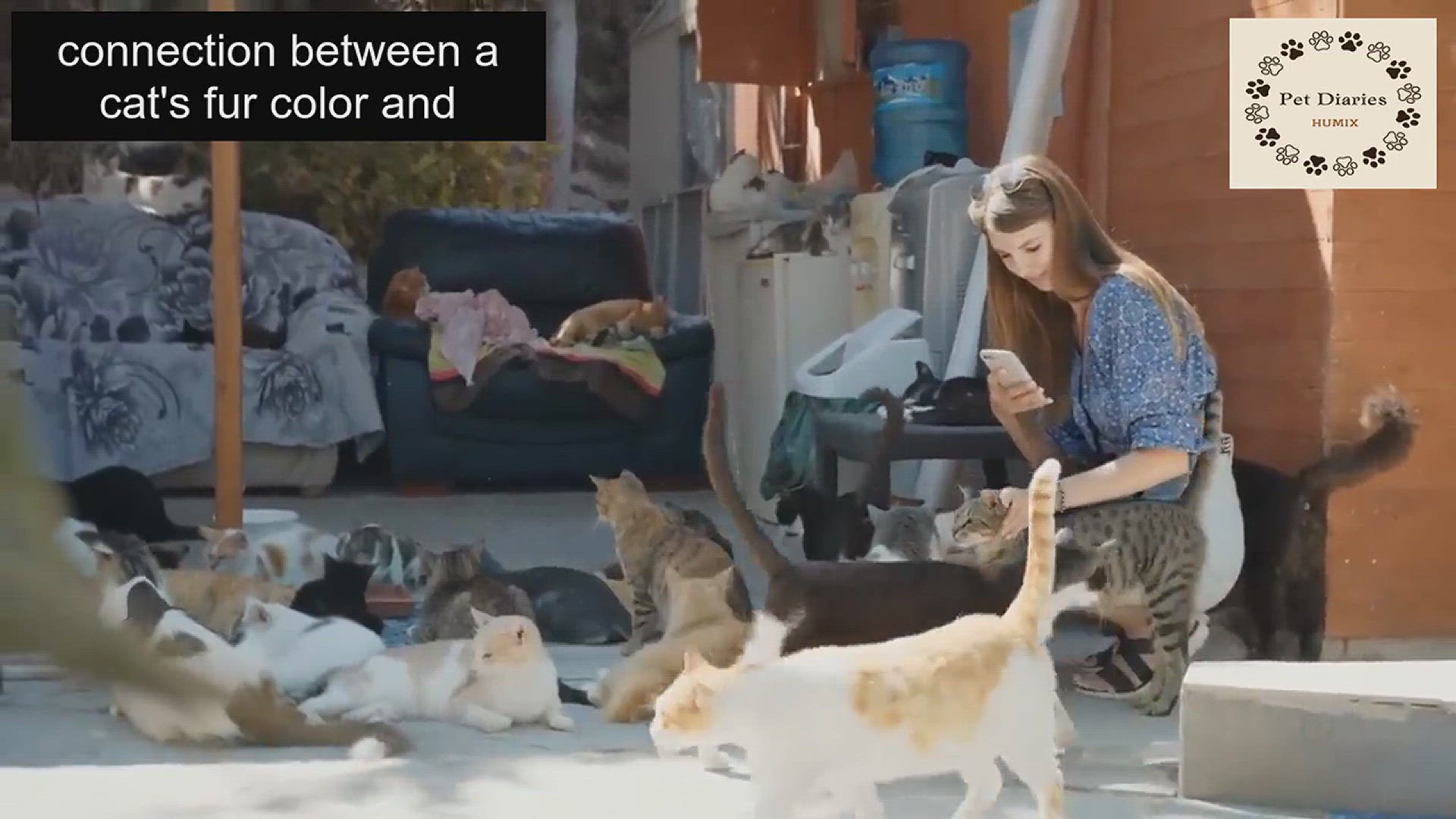 'Video thumbnail for Cat Color Health Personality Guide'