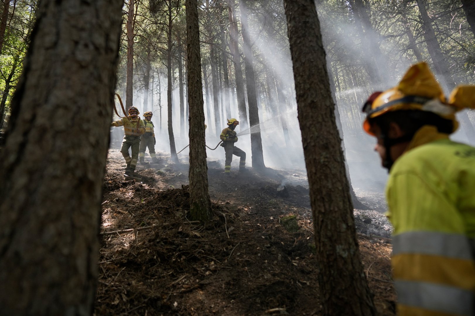 Video thumbnail for Europe wildfires: Fire crews continue to battle flames in south