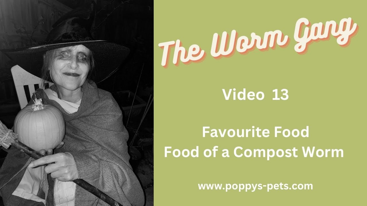 'Video thumbnail for Video 13:  Feeding Your Worms Their Favourite Food - Making Use of Your Halloween Pumpkin'