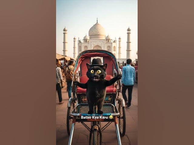 Video thumbnail for Kallu Billa Travelling to Tajmahal #agra #tajmahal #kallubilla