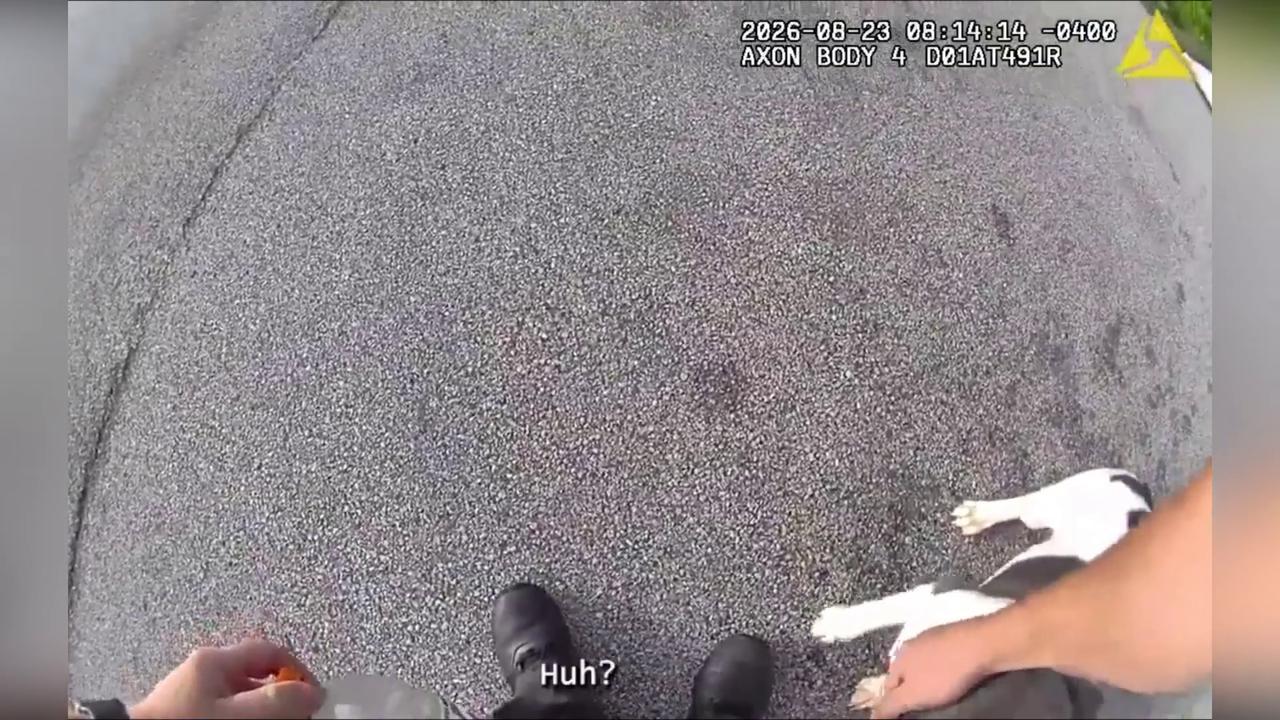 Video thumbnail for US: Ohio Trooper Rescues Abandoned Puppy Found In Crate Along Ohio Interstate.