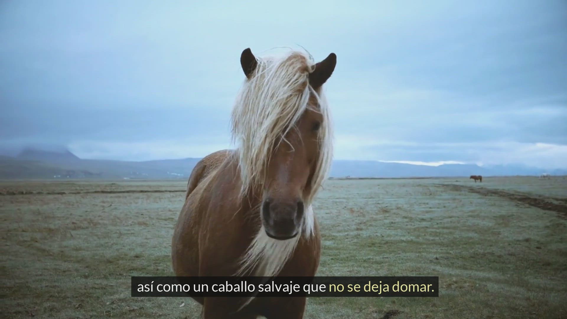 Video thumbnail for ¿De quién se enamora un mujeriego?