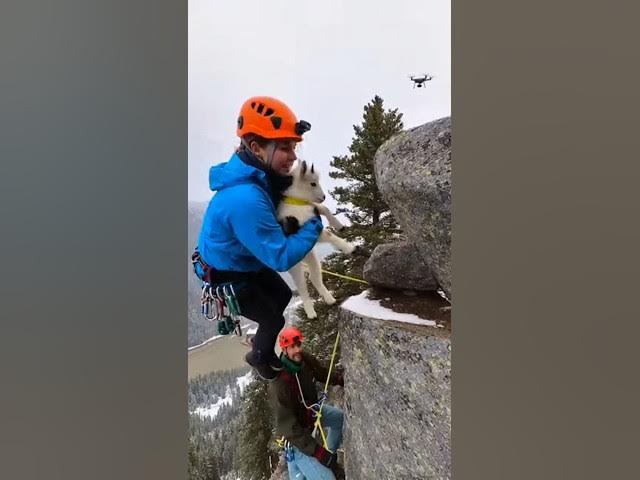 Video thumbnail for рдореМрдд рдХреЗ рдореБрдБрд╣ рд╕реЗ рдмрдЪрд╛рдпрд╛ рдорд╛рд╕реВрдо рдЬрд╛рдирд╡рд░ ЁЯШн | Animal Rescue #HindiStory#HindiShorts#DesiVideo#India#Bharat