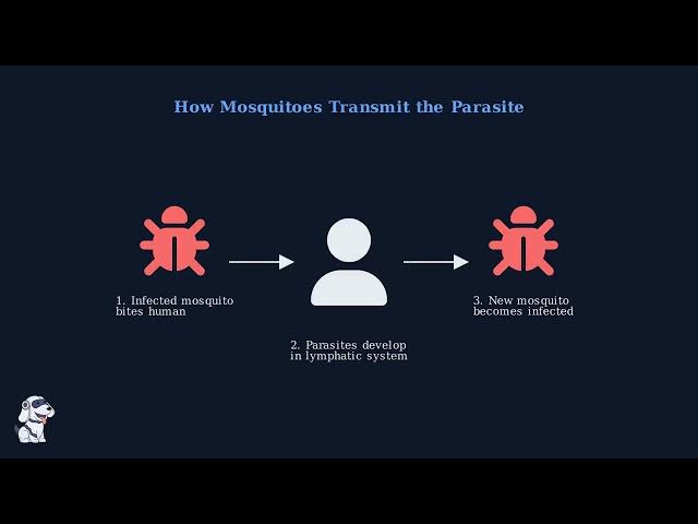 Video thumbnail for Lymphatic Filariasis: Unraveling the Wuchereria bancrofti Parasite