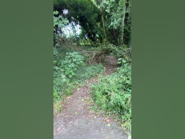 Video thumbnail for Pathways