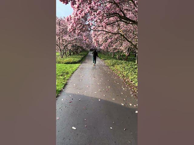 Video thumbnail for #Canada#springtime