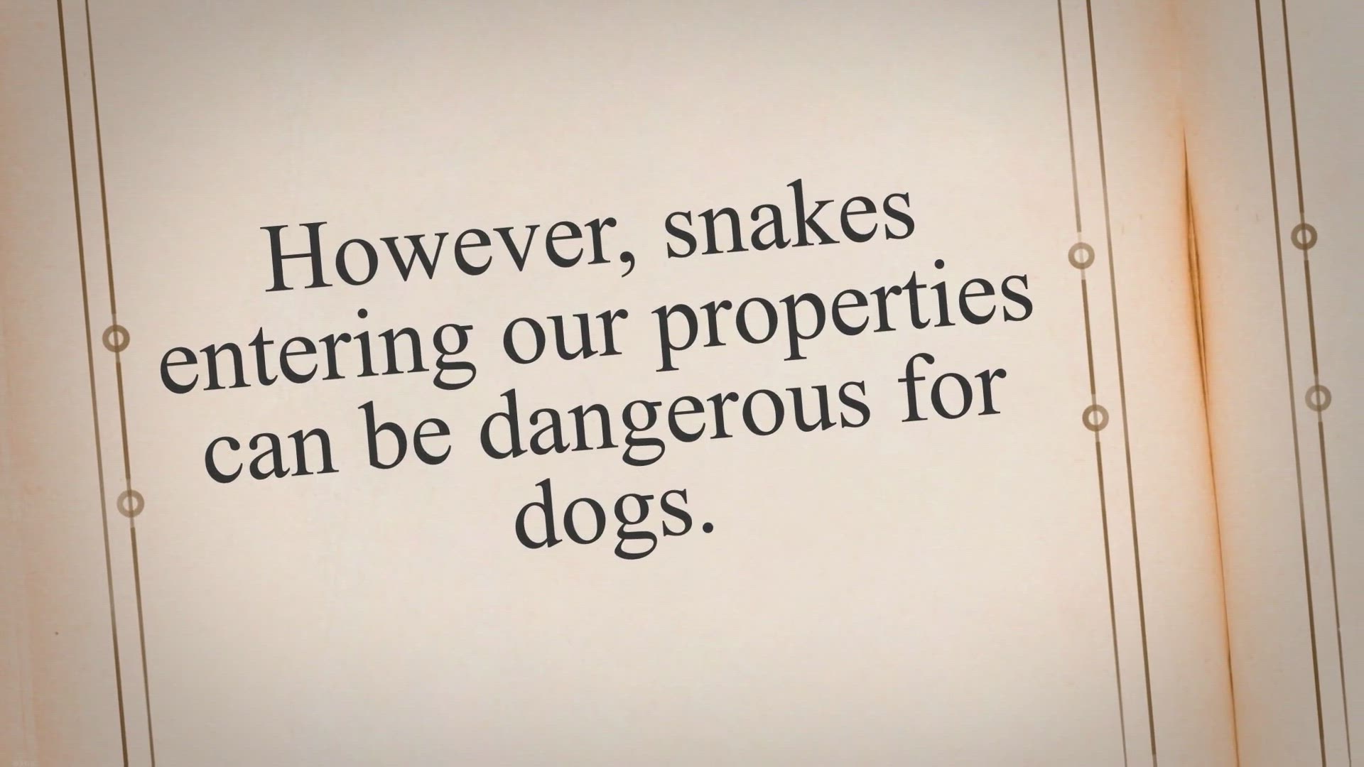 Video thumbnail for 10 Homemade Snake Repellent Safe For Dogs - HomeID