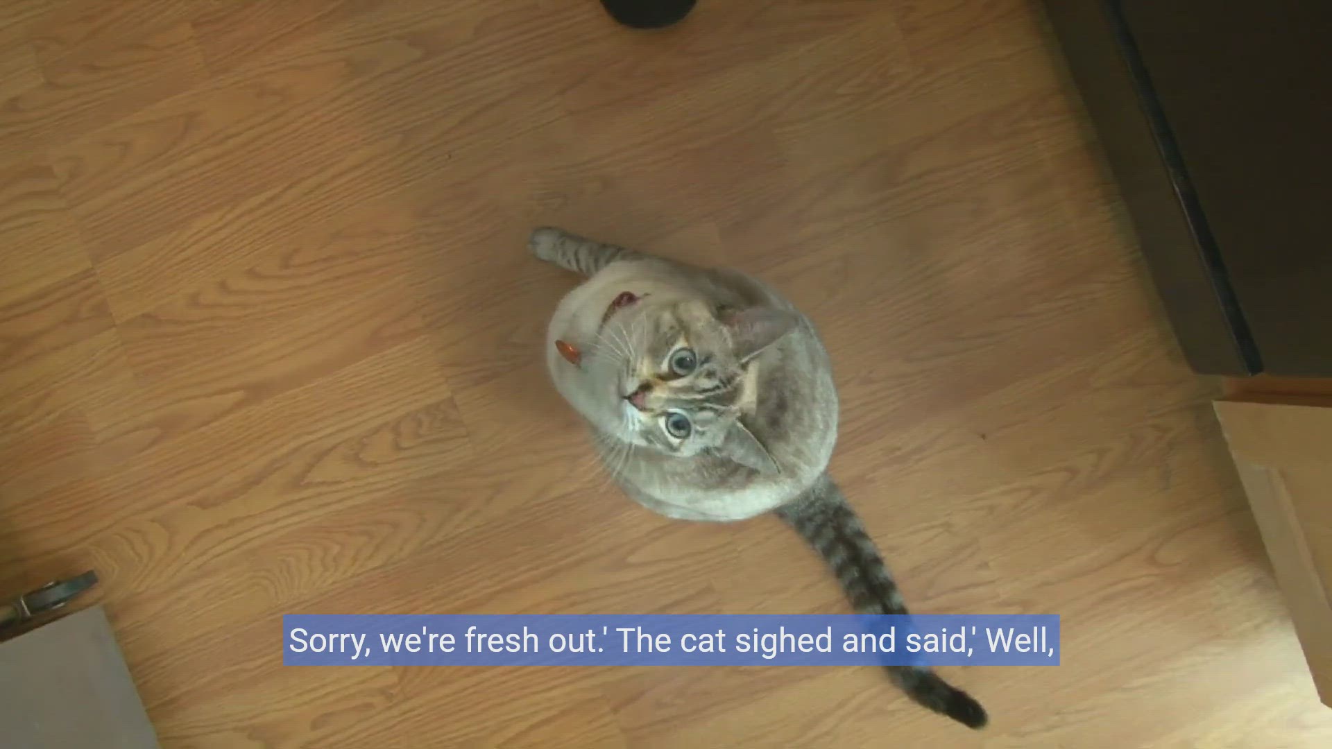 'Video thumbnail for 20 Purr-fectly Hilarious Cat Jokes to Make You Meow with Laughter!'