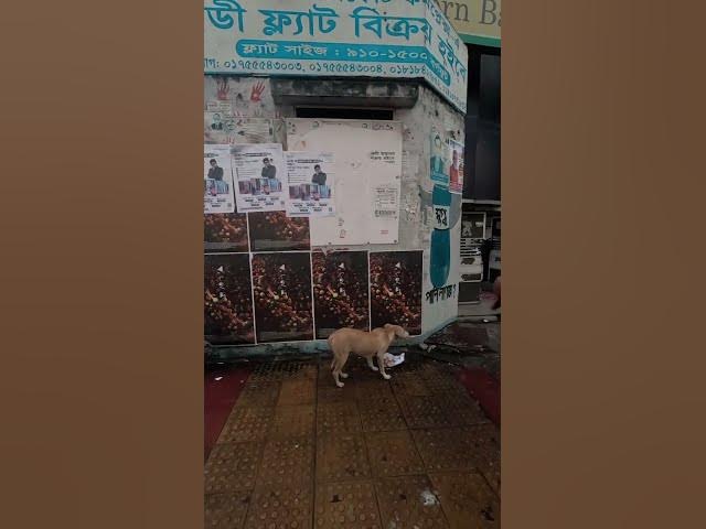 Video thumbnail for বিকালে বৃষ্টির পরে