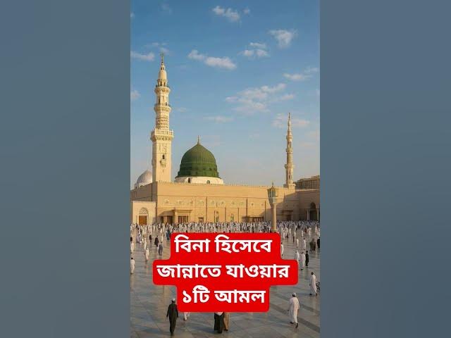 Video thumbnail for বিনা হিসেবে জান্নাতে যাওয়ার ১টি আমল#shorts #viral#sheikh_ahmadullah#islamicalortips