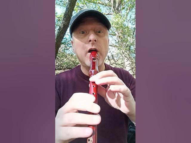 Video thumbnail for Ornamentation in Irish Recorder Playing - Roll on B