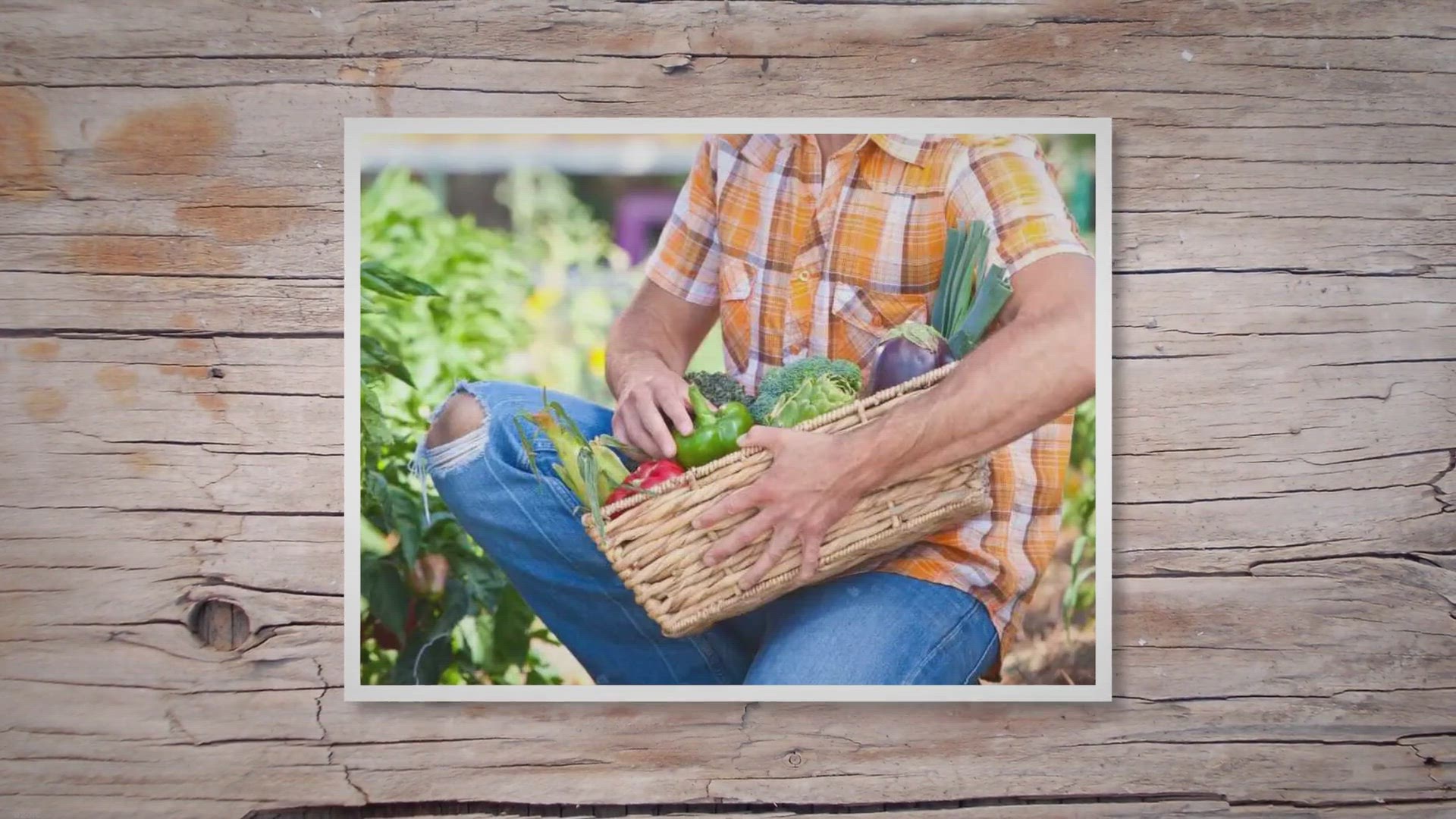Video thumbnail for Five Disadvantages Of Organic Farming (Plus Six Advantages)