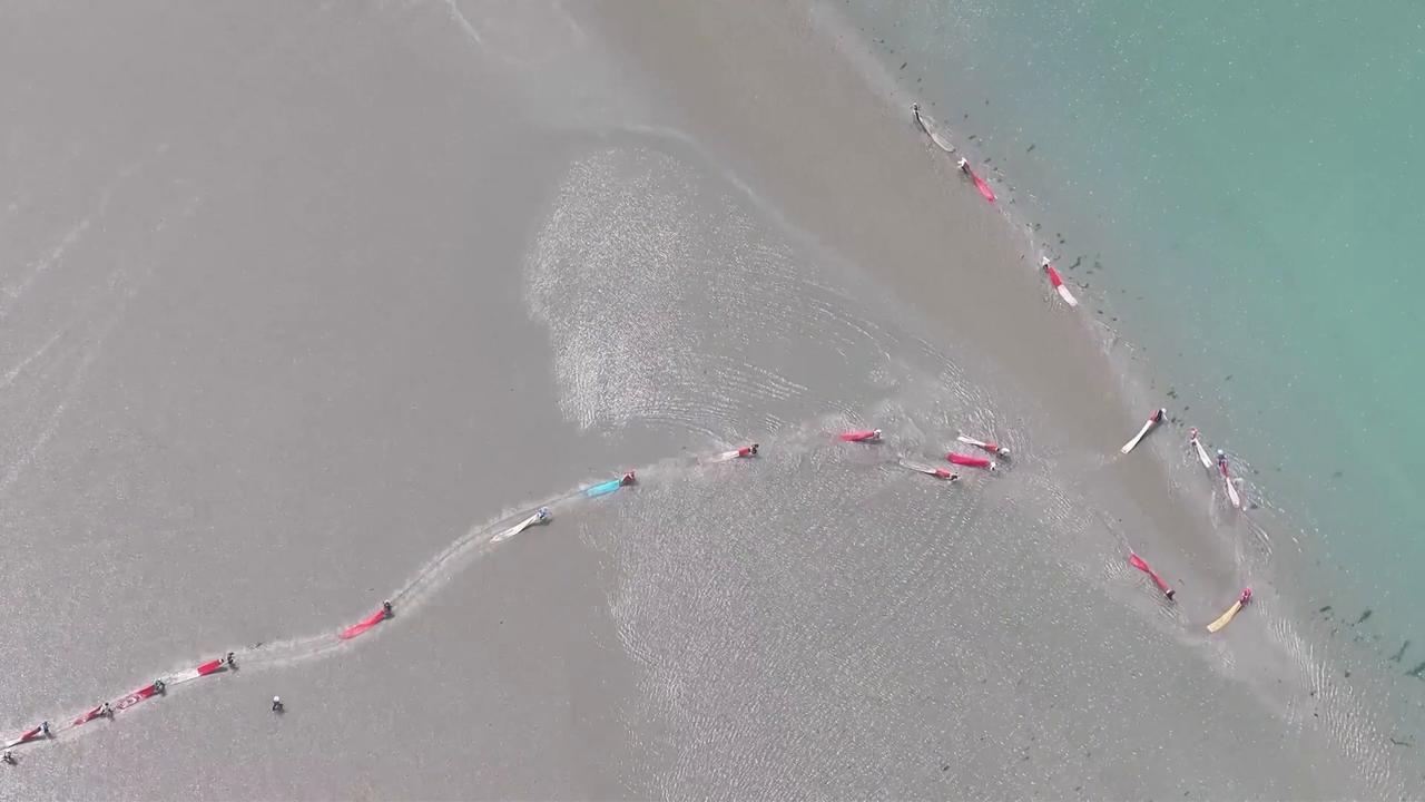 Video thumbnail for China: Mudsnail harvest season creates vivid scene at Yellow River estuary.
