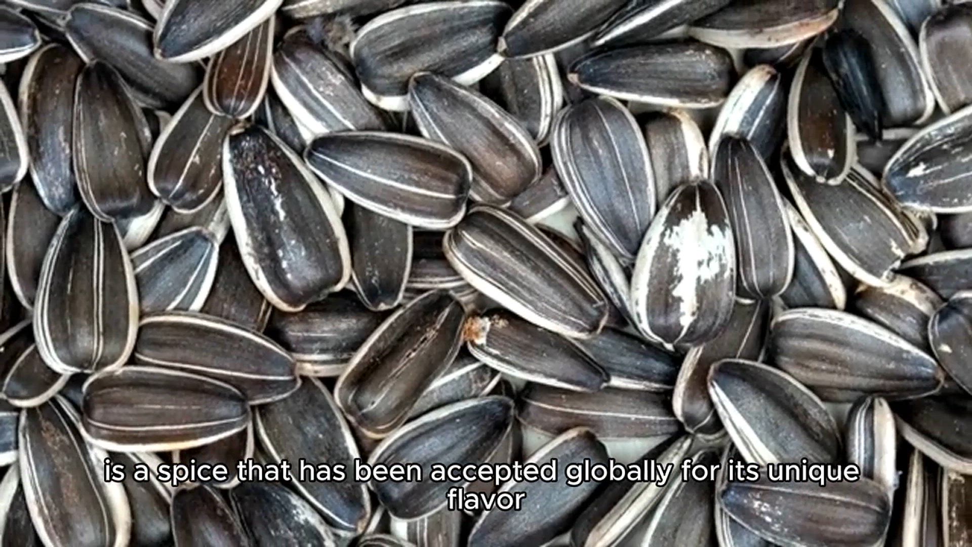 Video thumbnail for grains of paradise (1)