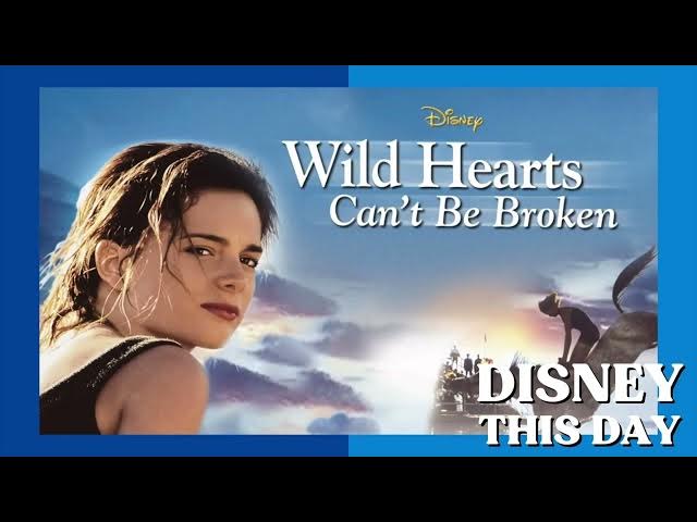 Video thumbnail for Wild Hearts Can't Be Broken | DISNEY THIS DAY | May 24, 1991