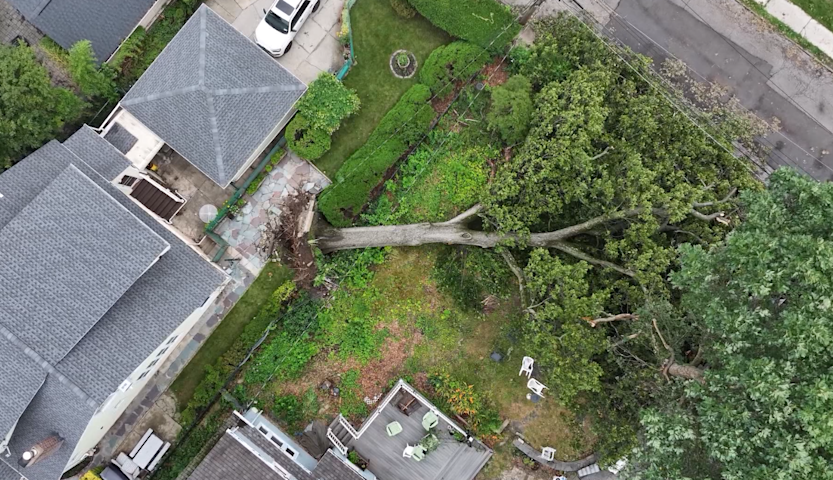 Video thumbnail for Trees continue falling across the Hudson Valley days after storms move out
