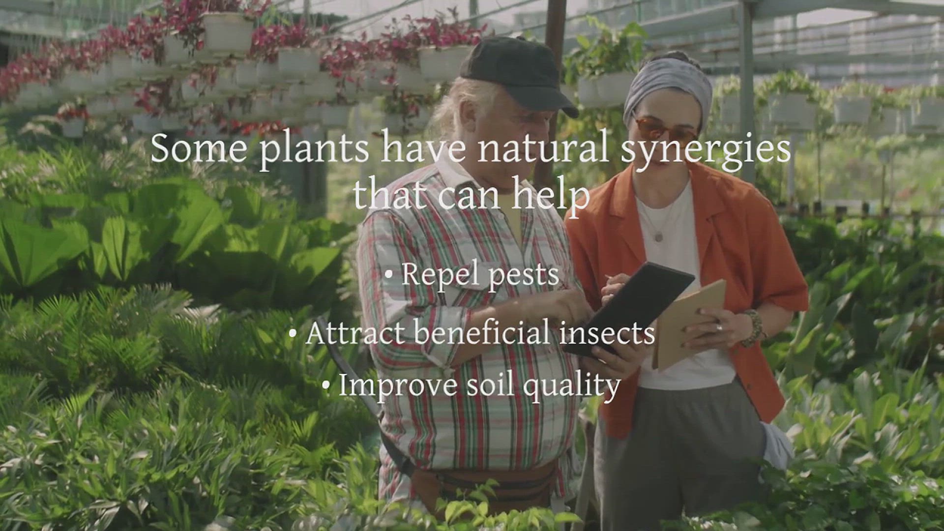 'Video thumbnail for Tips for Successful Companion Planting'