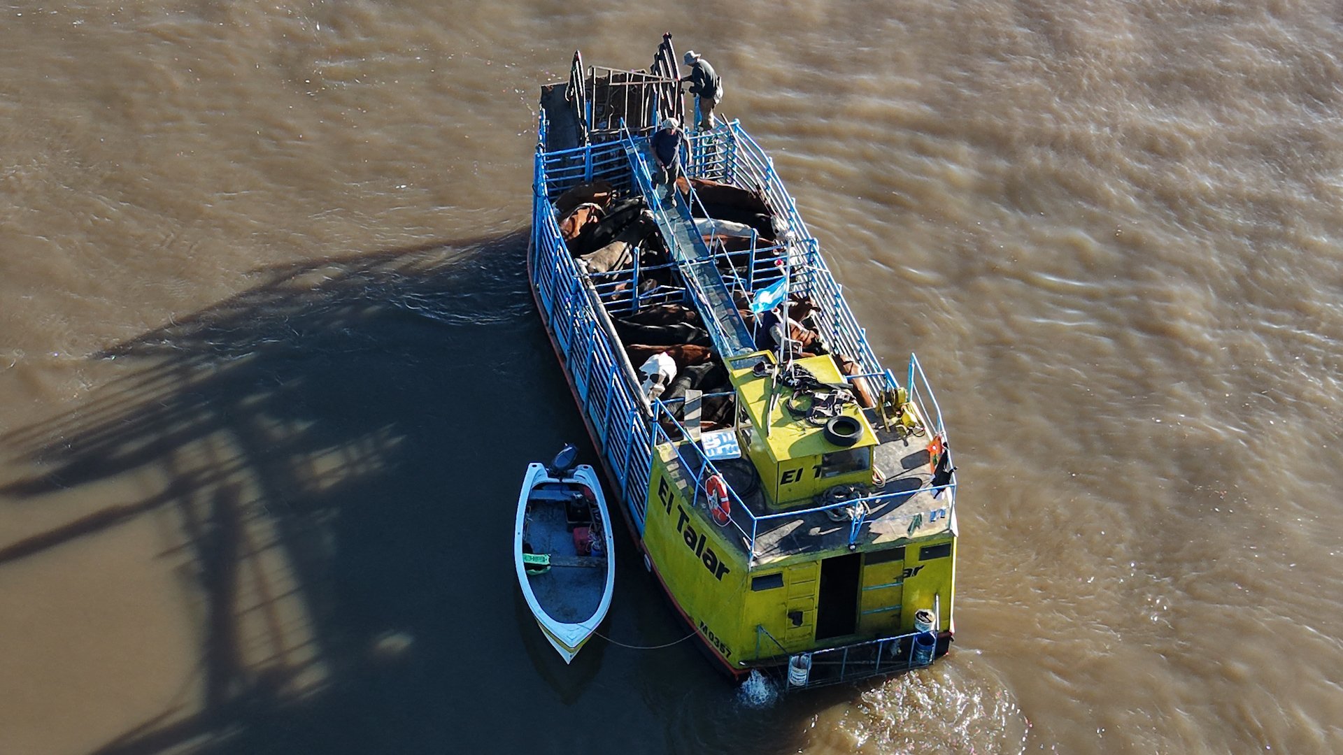 Video thumbnail for Argentina farmers evacuate cattle by boat as El Nino escalates