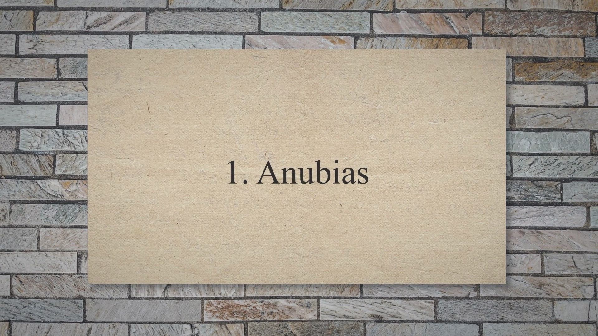 Video thumbnail for 15 Best Low Light Plants for an Aquarium (Easy to Grow)