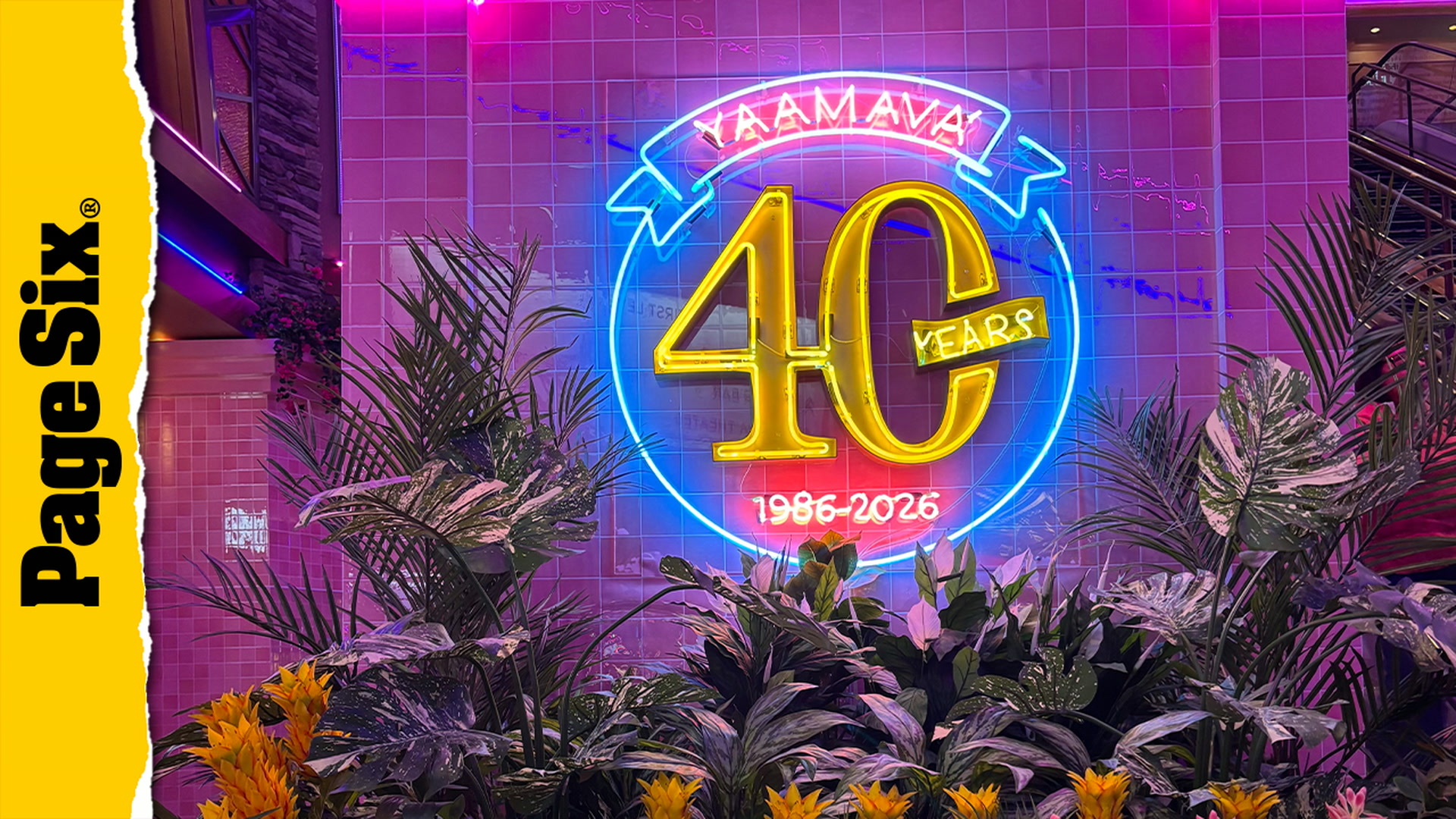 Video thumbnail for Imagine Dragons celebrate Yaamava's 40th anniversary