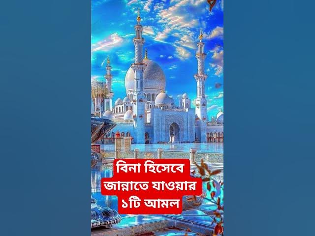 Video thumbnail for বিনা হিসেবে জান্নাতে যাওয়ার ১টি আমল#shorts #viral#sheikh_ahmadullah#islamicalortips