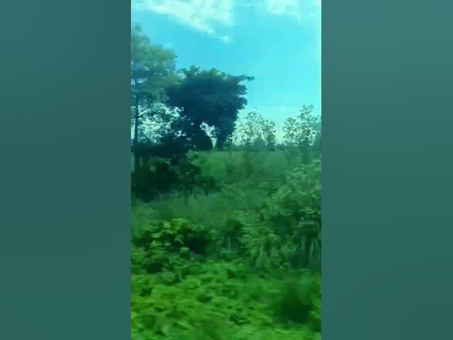 Video thumbnail for 8 August 2025