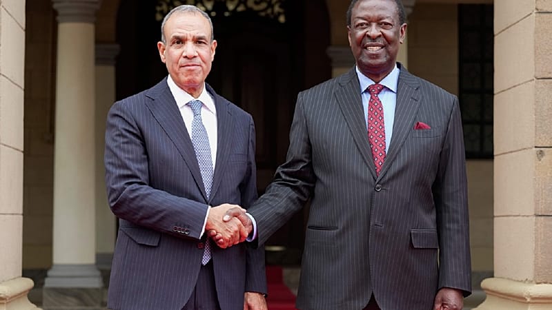 Video thumbnail for Kenya and Egypt hold talks aimed at deepening trade and investment