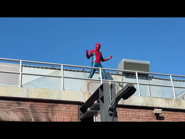 Video thumbnail for Amazing Spider-Man at Disney California Adventure Avenger's Campus 🕷 #amazingspiderman #disney #dca