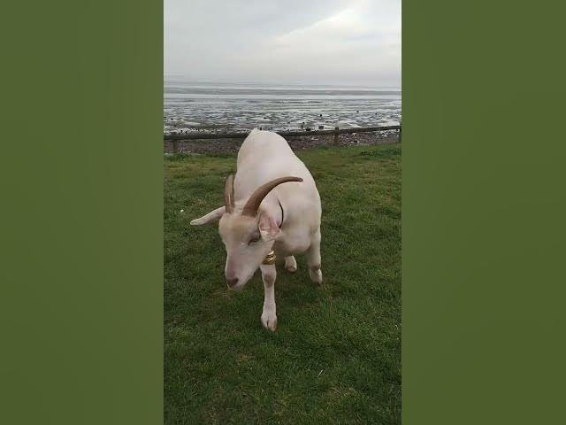 Video thumbnail for 11 May 2025