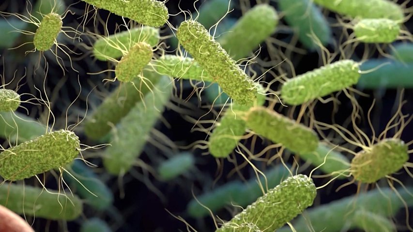 Video thumbnail for Shinnecock Nation leaders link salmonella outbreak to private community event