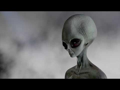 Video thumbnail for INTERVIEW ABOUT e.T. Part 2