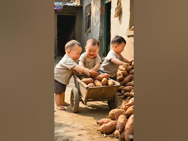 Video thumbnail for Three Subeo brothers earn money to buy cakes so cute #shots  #shortvideo  #viralvideo