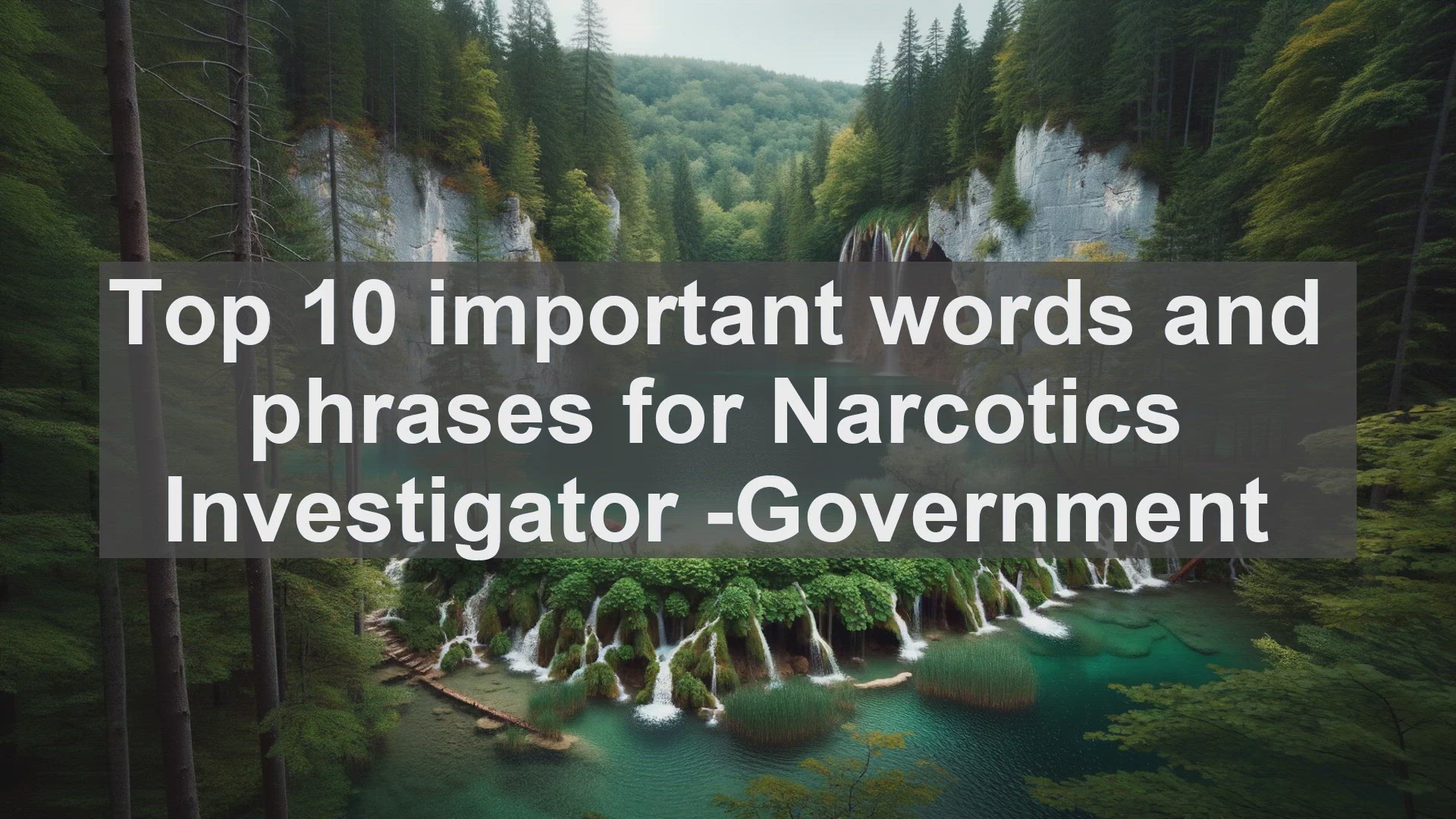 'Video thumbnail for Top 10 important words and phrases for Narcotics Investigator Government'