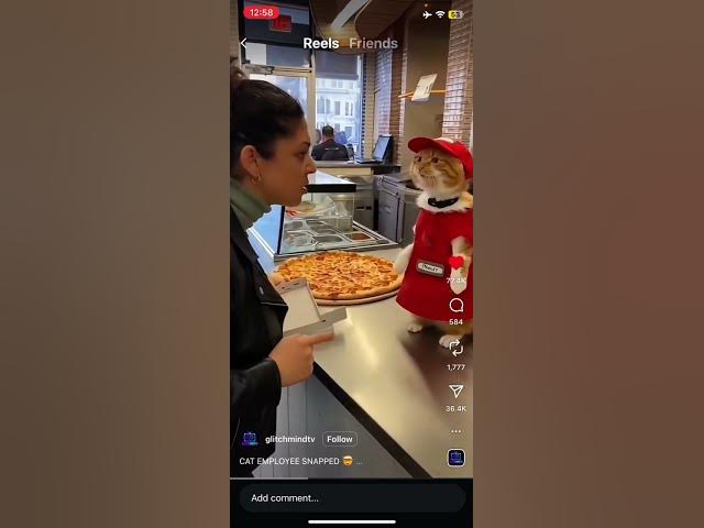 Video thumbnail for Take the pizza #foryou #funny #youtubeshorts