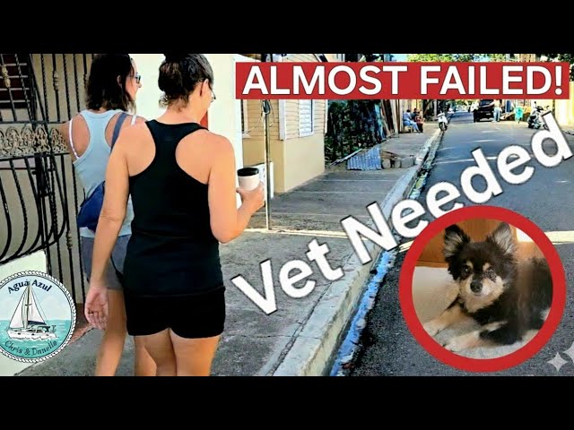 Video thumbnail for Everything Went Wrong: Getting Bella Ready for Puerto Rico  | Ep 98