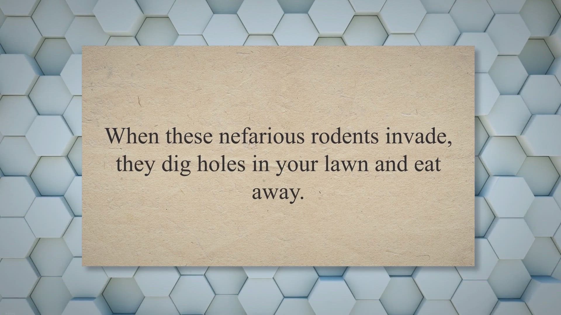 Video thumbnail for How to Get Rid of Ground Moles with Vinegar