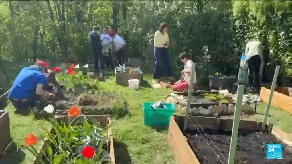 Video thumbnail for A French school near Paris competes in the Vegetable garden World Cup