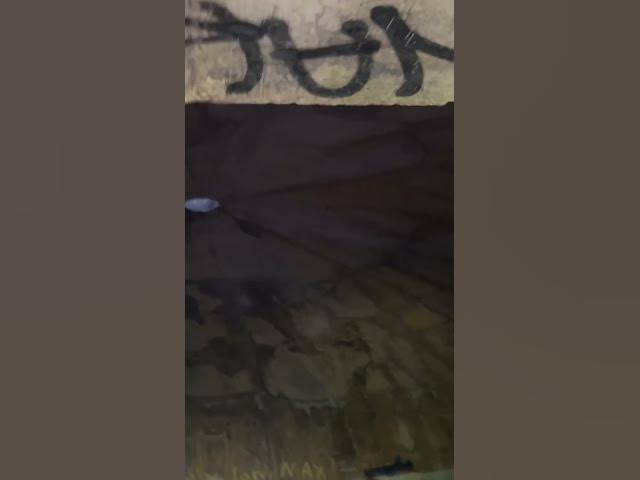 Video thumbnail for Mothman 2nd bunker