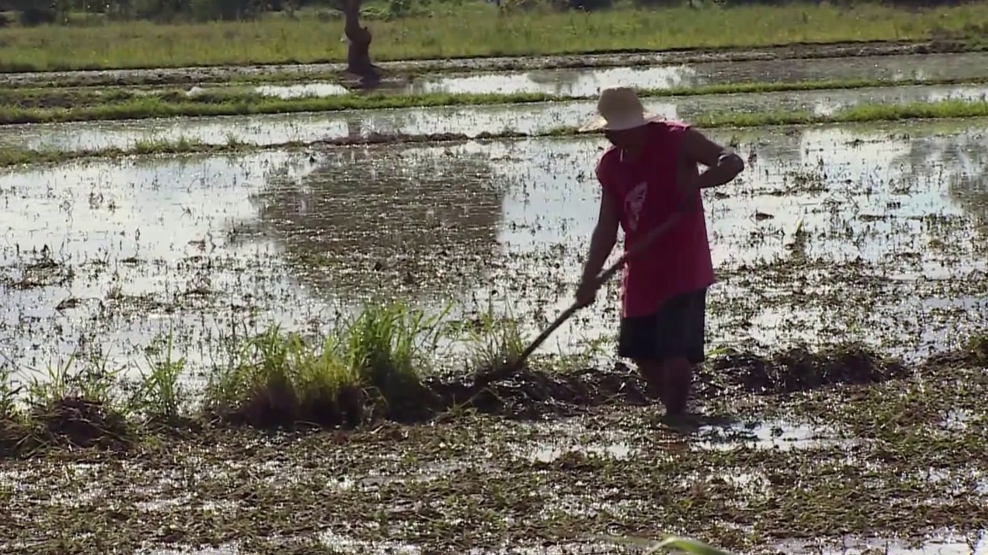 Video thumbnail for Philippines drought: Dams dry up ahead of super El Nino