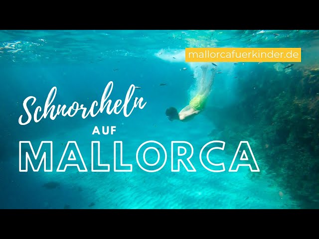 Video thumbnail for Die besten Schnorchelspots auf Mallorca