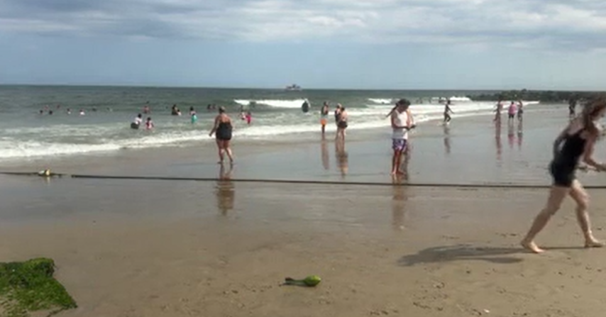 Video thumbnail for Jellyfish stings reported along the Jersey Shore this weekend
