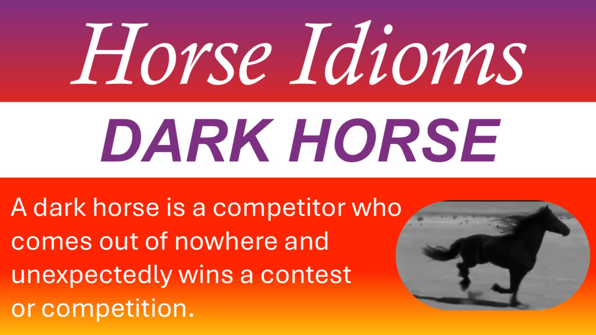 Video thumbnail for Dark Horse Idiom Meaning | Real American English Native Speakers Use