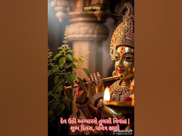 Video thumbnail for દેવ ઉઠી અગ્યારસે તુલસી વિવાહ | શુભ દિવસ, પવિત્ર ક્ષણો 🌸 /#TulsiVivah #DevUthiAgiyaras