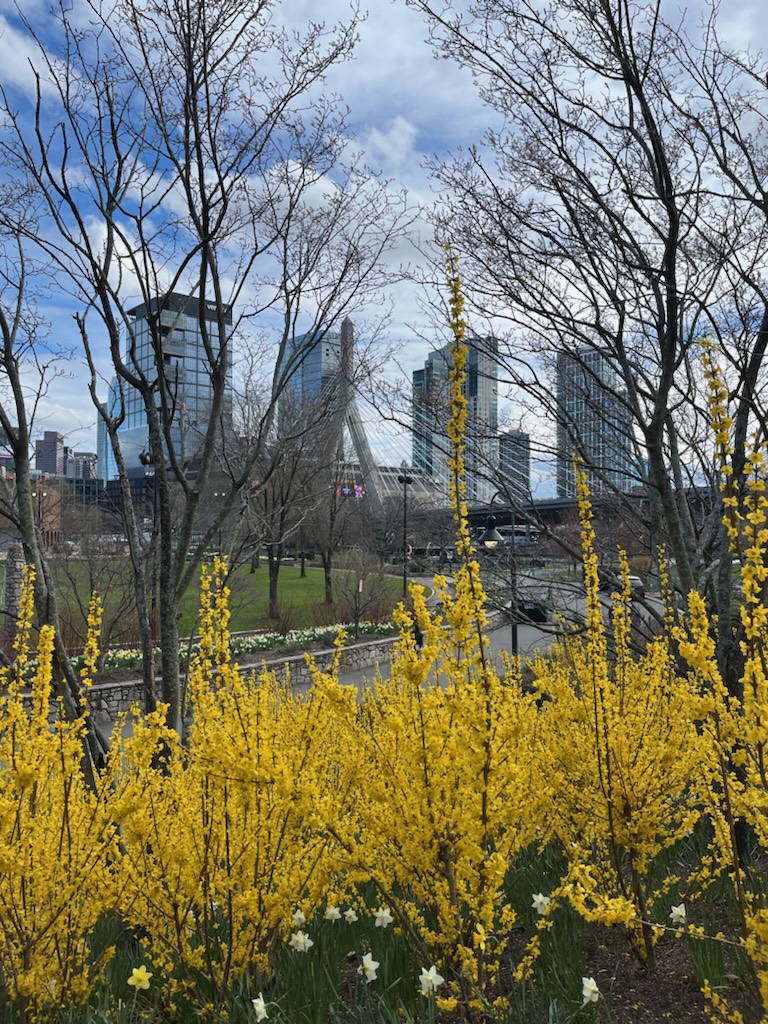 'Video thumbnail for Exploring North Station: A Gateway to Boston's Rich History and Modern Marvels'