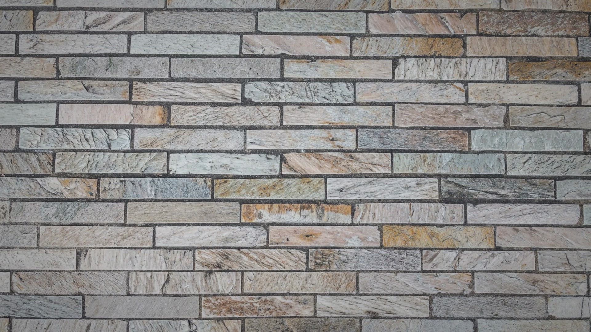 Video thumbnail for Birds Products & Supplies (My Recommendations)