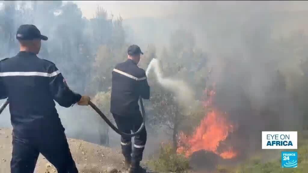 Video thumbnail for Wildfires hound Tunisia, Algeria and Morocco