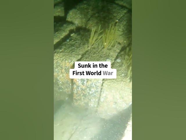 Video thumbnail for 100-Year-Old Fuel Blocks Still Perfectly Preserved #shipwreck #history