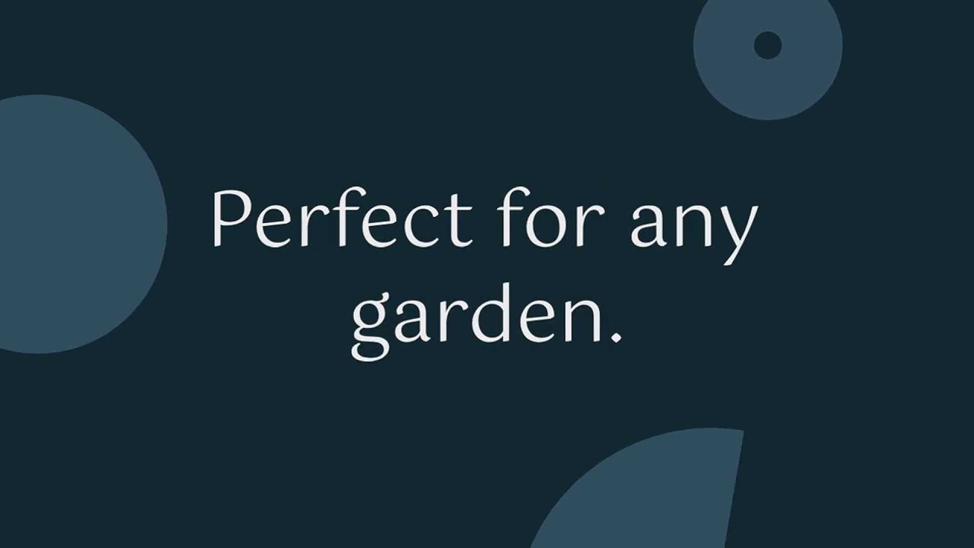'Video thumbnail for How to Grow Marigolds in your garden'